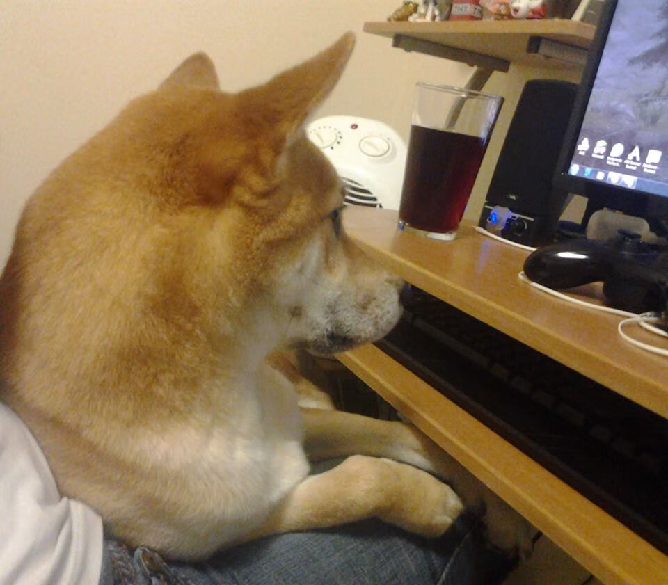 田径跨栏国家队选手冬训进入节奏训练阶段，田径跨栏运动员