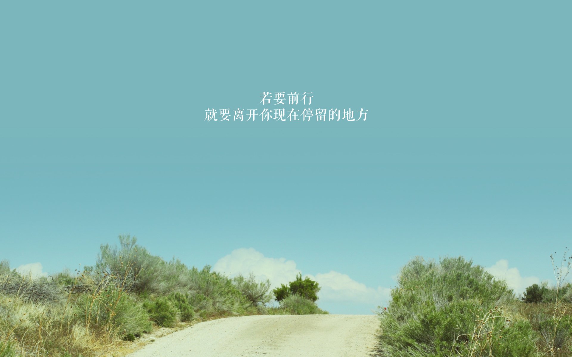 联赛中期总结多支黑马球队异军突起，足球队黑马