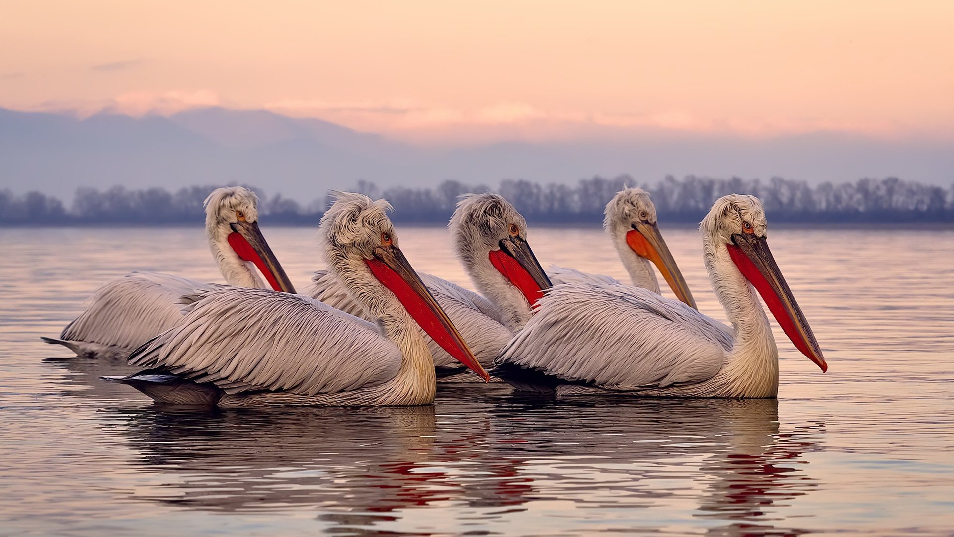训练方式多样化适应不同运动需求，训练适应的特性包括