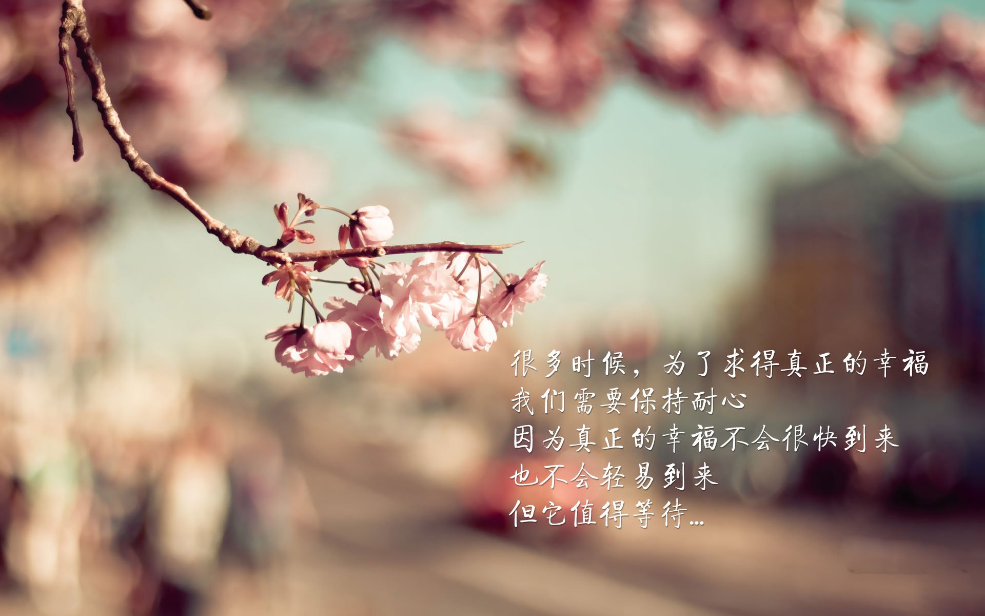 国际热身赛中国女足晋级 球迷看好未来发展，女足国足